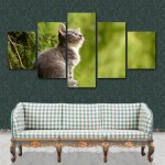 Tableau chaton nature Tableau Chat Tableau Animaux format: Horizontal