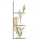 Tableau Iris – Feng Shui Tableau Feng Shui Tableau Zen