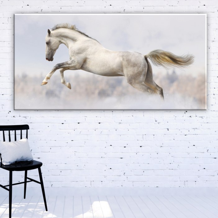 Quadro cavalo branco