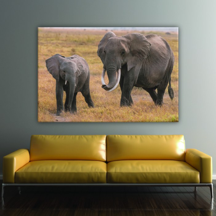 Quadro elefante e elefante bebé