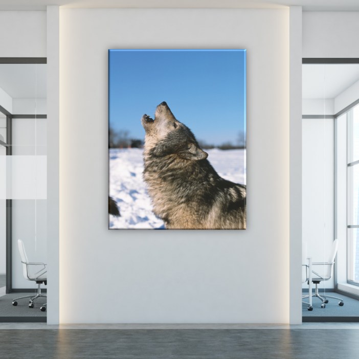 Quadro lobo na neve uivando