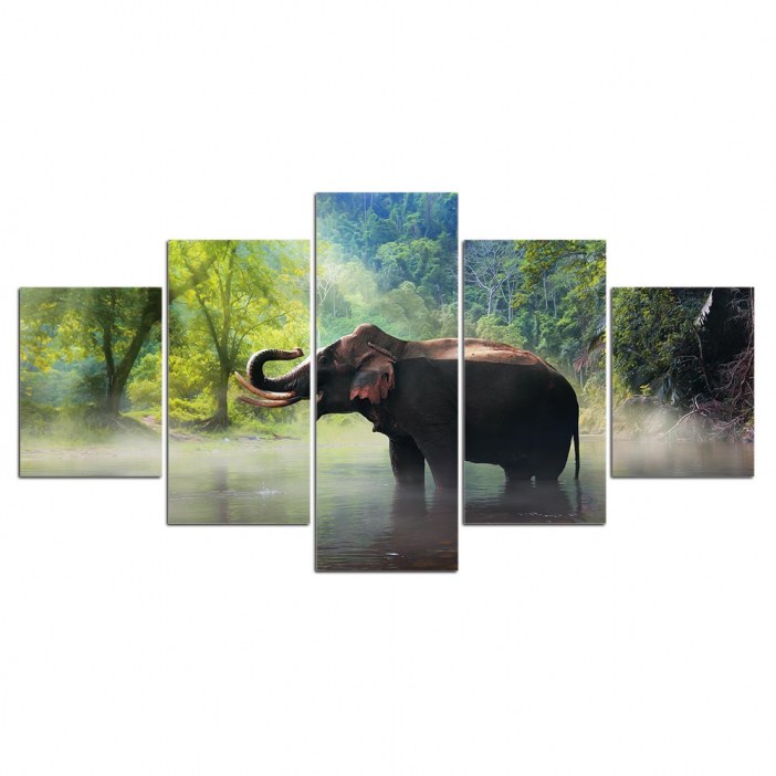 Tableau éléphant dans la nature