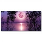 Tableau Pleine lune sur le lac Tableau Paysage Tableau Nature