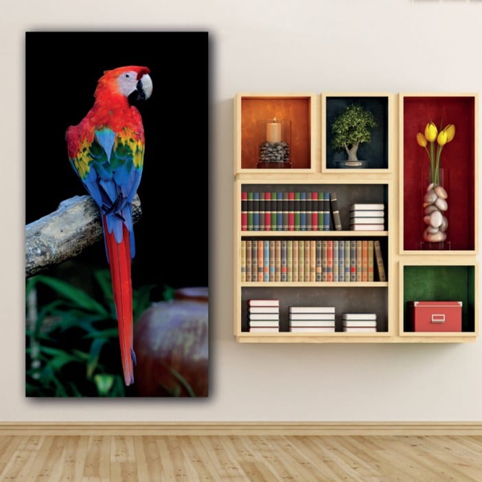 Tableau Ara rouge Tableau Animaux Tableau Oiseau