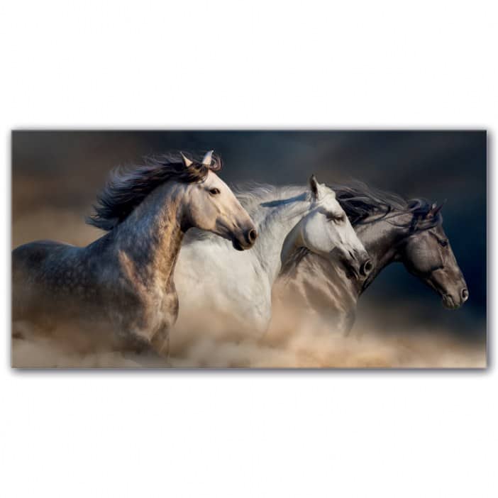 Tableau Chevaux galopant ensemble Tableau Animaux Tableau Cheval
