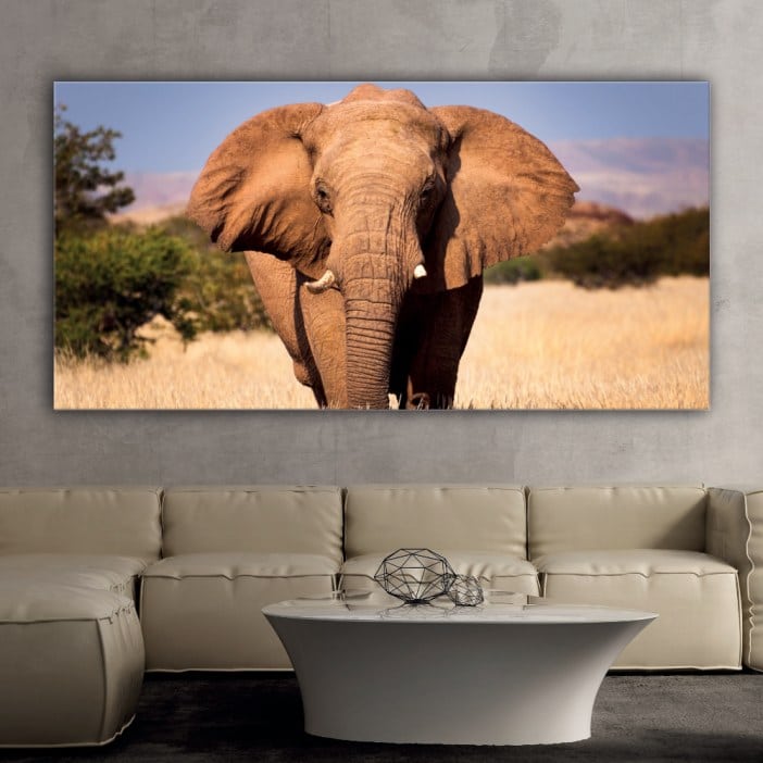 Tableau Éléphant dans la savane Tableau Animaux Tableau Éléphant