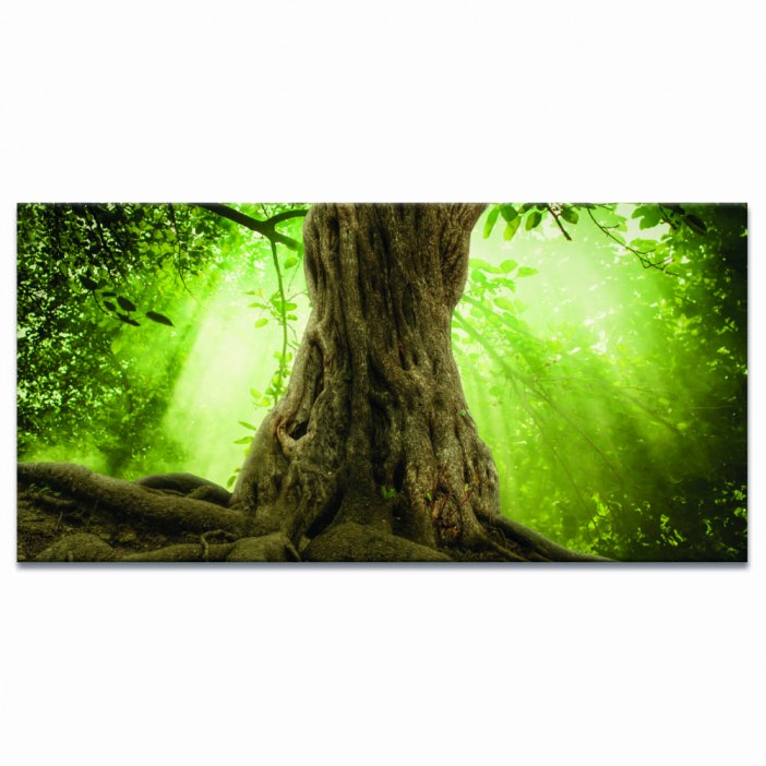 Tableau Arbre sur un livre Tableau Arbre Tableau Nature