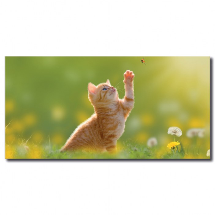 Tableau Chat chassant les papillons Tableau Animaux Tableau Chat