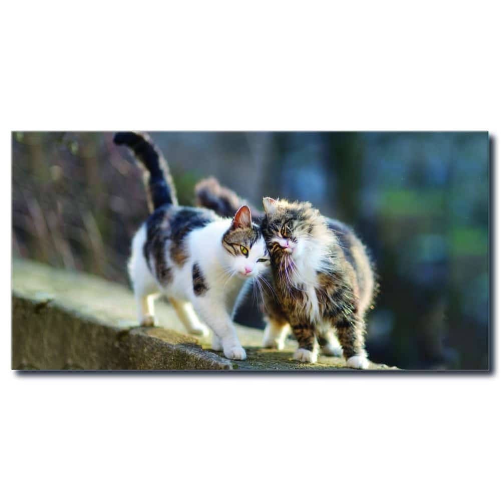 Tableau Deux chats qui se caressent Tableau Animaux Tableau Chat taille: XXS|XS|S|M|L|XL|XXL