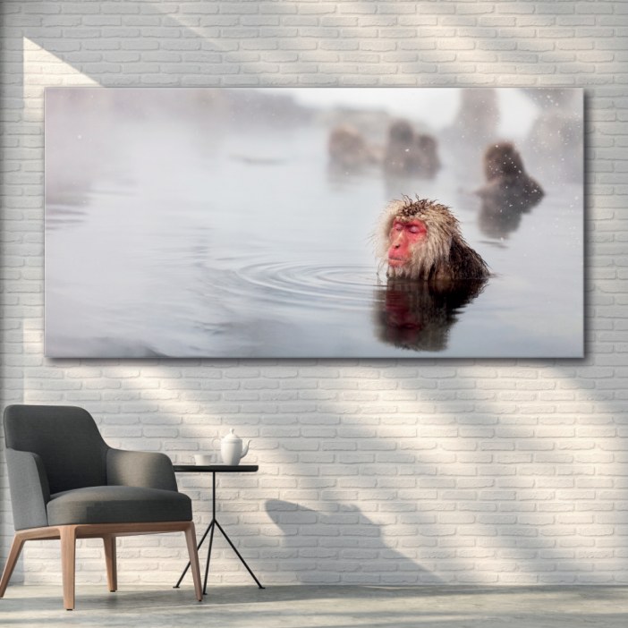 Tableau Singe japonais méditant Tableau Animaux Tableau Singe