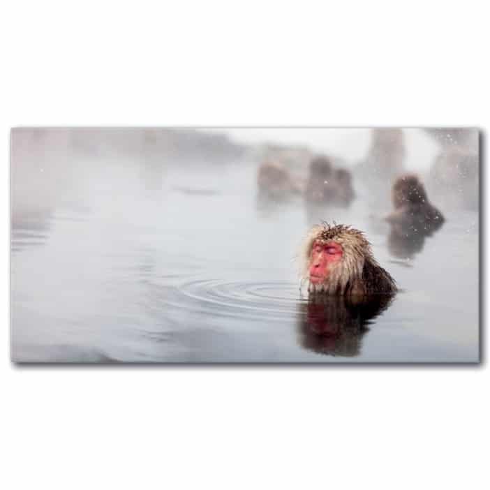 Tableau Singe japonais méditant Tableau Animaux Tableau Singe