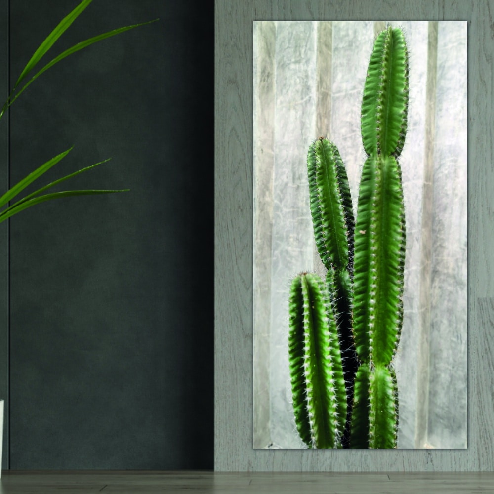 Tableau Cactus vert Tableau Nature taille: XXS|XS|S|M|L|XL|XXL