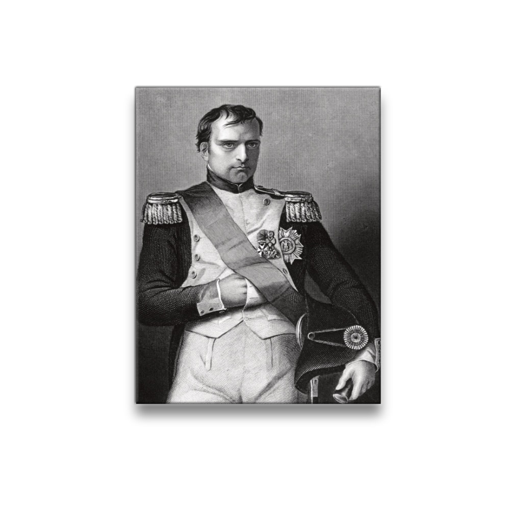 Tableau Napoléon Bonaparte empereur français Tableau Napoleon taille: XS|S|M|L|XL|XXL