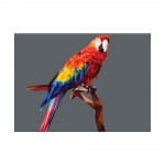 Tableau représentant un perroquet perché aux formes géométriques et aux couleurs vives
