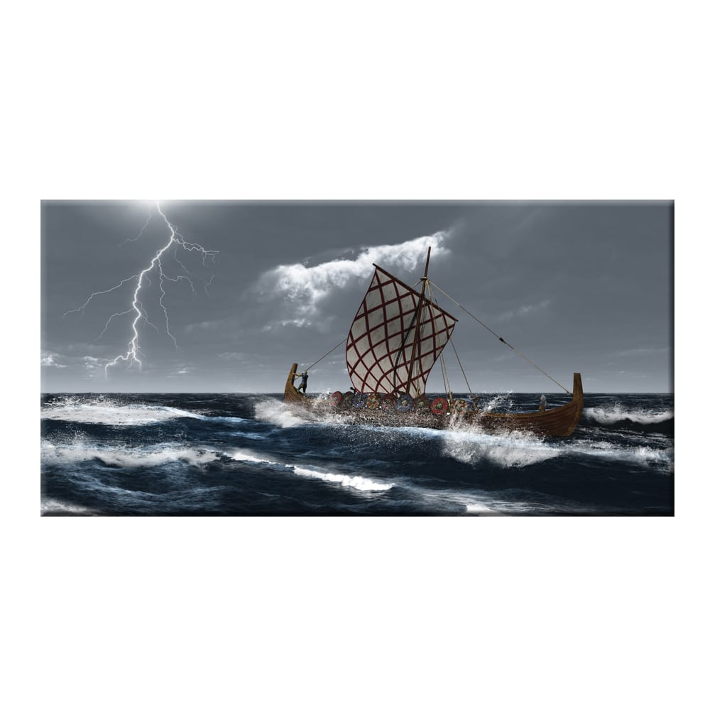 tableau viking sur fond blanc