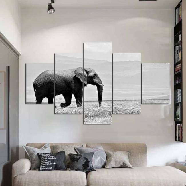 Quadro elefante africano solitário